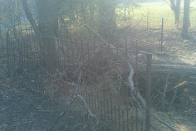 192120_10150438896380494_514065493_17776009_7549526_o-1