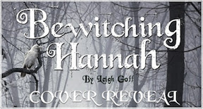Bewitching Hannah Banner 2