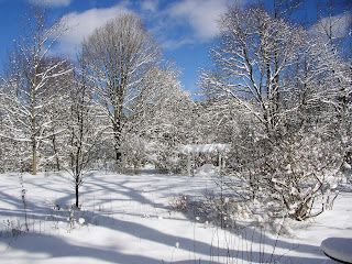 F3 snow